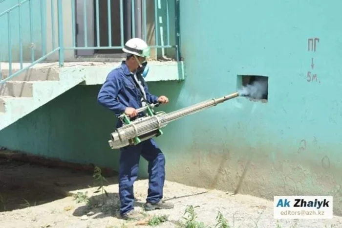 Неравномерная борьба с комарами: только два района Атырауской области готовы к обработке Атырау