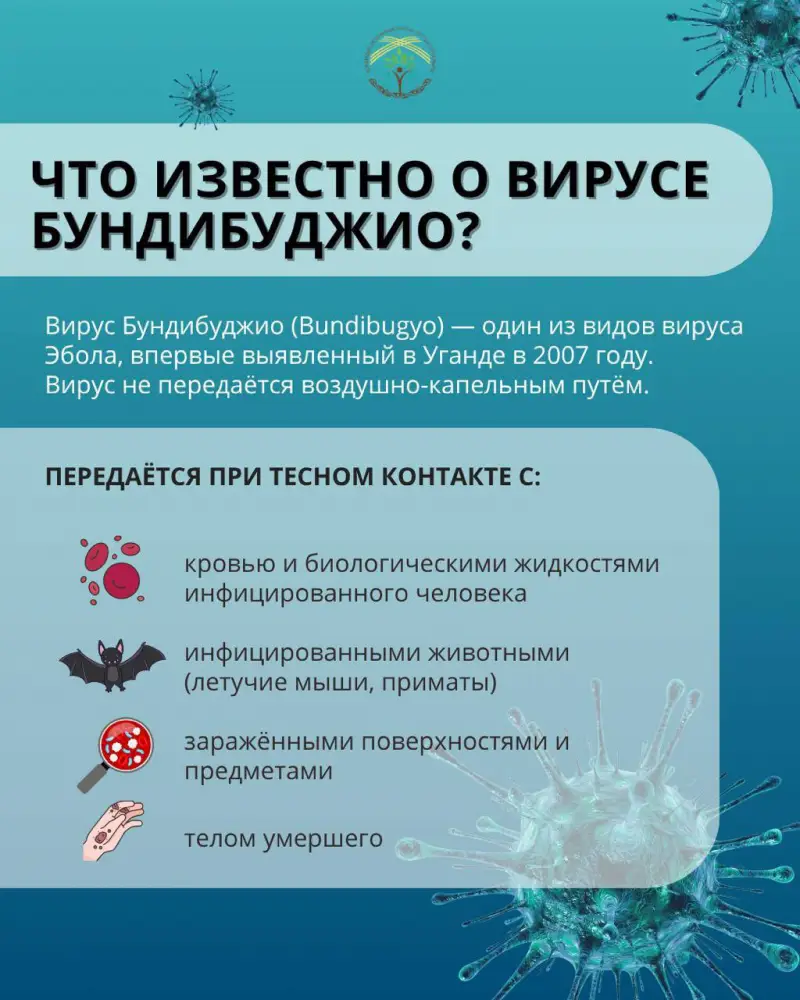 Эбола: тень опасности над путешествиями в Конго и Уганду Атырау