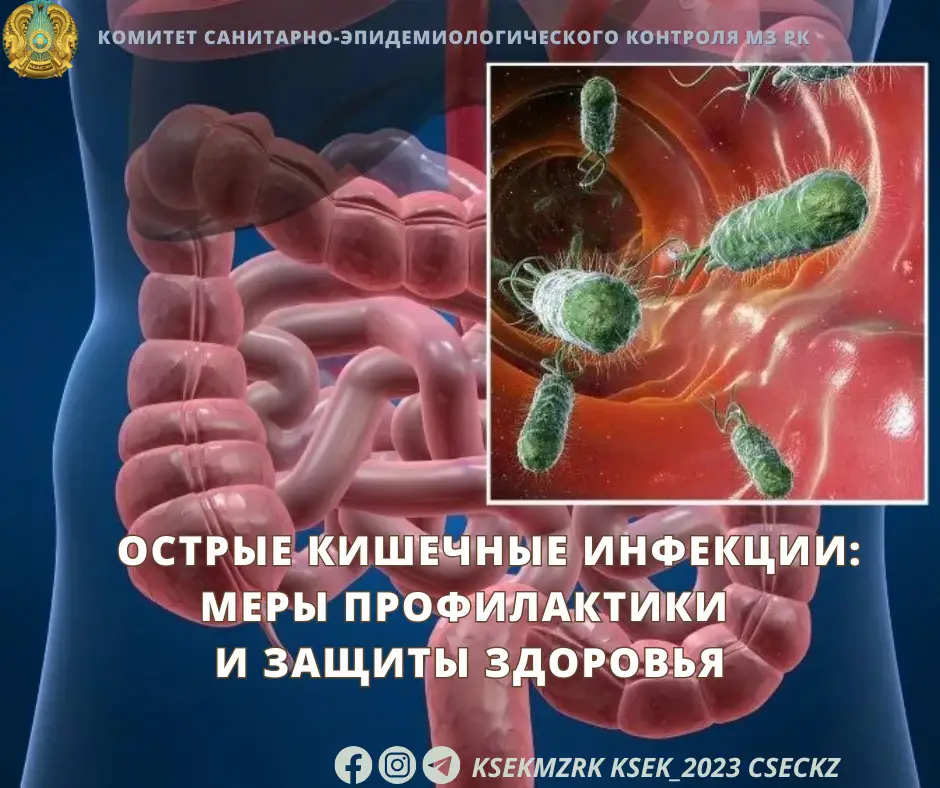 Угроза острых кишечных инфекций: последствия для здоровья и важность профилактических мер Атырау