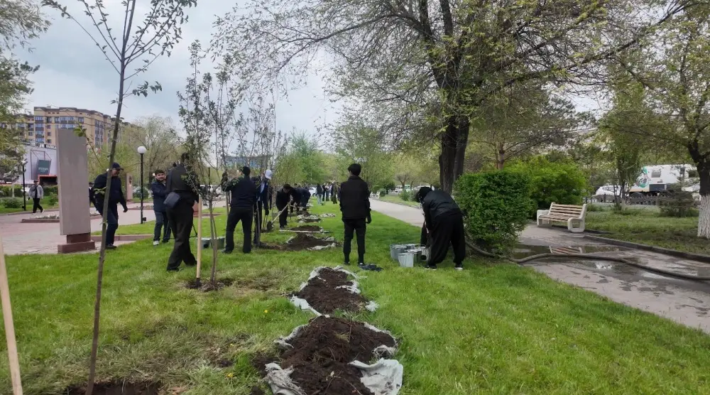 4000 деревьев высадили в Актюбинской области Атырау