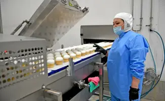 Казахстан: ледяной флаг на экспортном пьедестале мороженого