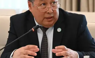 Алматы создаст питомник для озеленения города