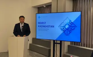 Инвестиции корейских компаний в Казахстан возможности в энергетике и технологиях