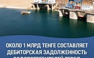 Кто должен 1 млрд тенге за полив? Водопотребители!