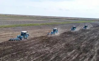 На полях Казахстана засеяно 14,5 млн га сельхозкультур, заключены контракты на 1,5 млн тонн удобрений