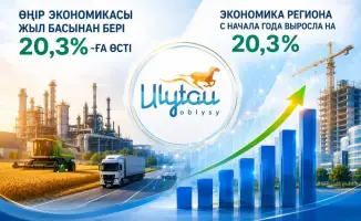 Экономика региона: новый виток роста на 20,3% — уверенный шаг к вершинам успеха