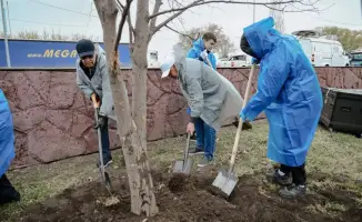 Экологическая акция объединила тысячи жителей региона в высадке более 70 тысяч деревьев