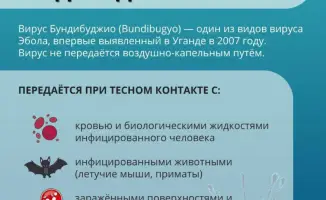 Эбола: тень опасности над путешествиями в Конго и Уганду