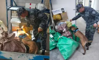 Служебные собаки задействованы в рейдах против наркопреступности в области Абай