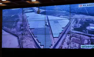 Шымкент: $650 млн в агросектор от турецкого инвестора