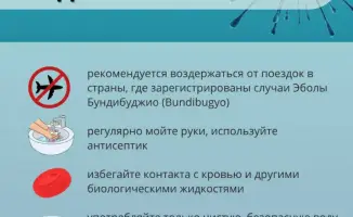 Эбола: социальные последствия и необходимость соблюдения гигиены при международных поездках