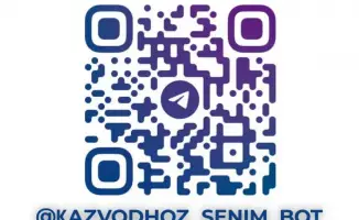 Анонимное обращение в Министерство водных ресурсов о черном рынке воды в Казахстане