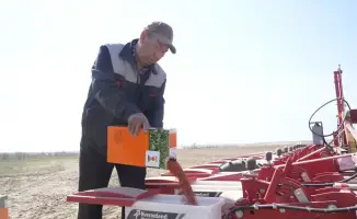 Завершение посева сахарной свеклы в Жетісу: увеличение площадей и ожидаемый урожай