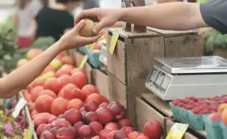 International Approaches to Price Control in Kazakhstan's Food Sector