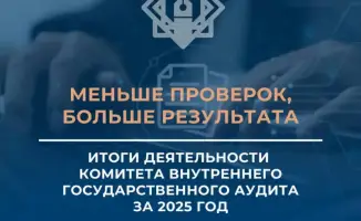 Комитет внутреннего аудита 2025 год результаты меньше проверок больше финансовых нарушений