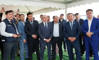 Строительство ветровой электростанции начнётся в нашем регионе благодаря китайским инвестициям
