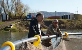ВКО: Алтайская форель как новый бренд региона