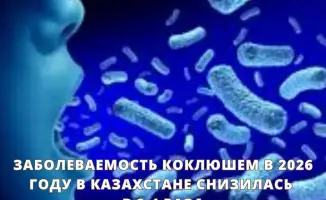Коклюш в Казахстане: за 4 месяца 2026 года зафиксировано 83 случая, вакцинация охватила 178,9 тыс. детей