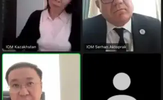 Укрепление миграционной политики Казахстана: онлайн-встреча с Международной организацией по миграции