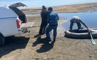 Задержание браконьера в Кокпектинском районе