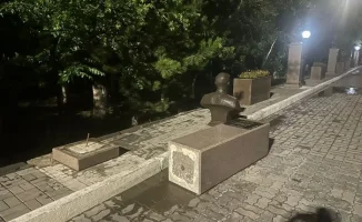 Бюст, который стал причиной: дело о гибели девочки