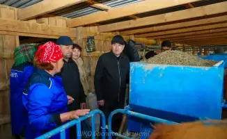 Уланское хозяйство поставляет молоко для «Восток-Молоко»