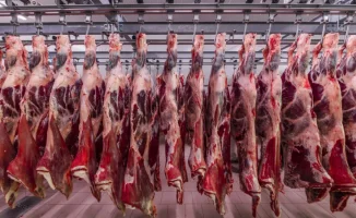Казахстан и Турция укрепляют агропромышленное сотрудничество: экспорт халяльного мяса на повестке дня