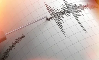 Землетрясения в Китае и Кыргызстане: магнитуда 4,8 и 4,5 зарегистрированы сейсмологами Казахстана