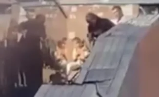 В Астане мужчина жестоко избил супругу на глазах у прохожих, инцидент попал на видео. Полиция возбудила уголовное дело против дебошира.