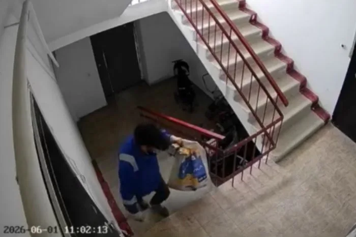 Конфликт между волонтерами и полицией в Атырау: судьба кошки с котятами на грани решения Атырау
