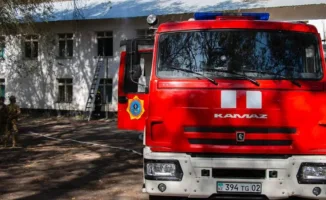 Алматинский зоопарк в огне: кто спасет животных?