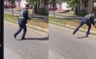 Водитель троллейбуса в Алматы приостановил движение ради спасения птицы, вызвав волну обсуждений о человечности и ответственности в обществе