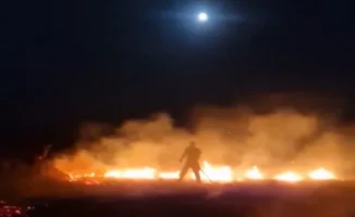 Пожар уничтожил 20 гектаров степи в районе Миялы