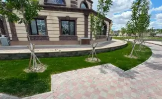 Исчезновение скамеек из Ретро-парка: негативные последствия для отдыха и досуга горожан