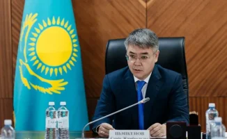 Шапкенов подверг критике международные методы борьбы с комарами в Атырау