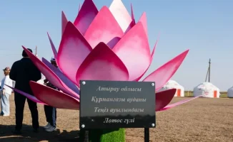 Фестиваль лотосов обошёлся в 382 млн тенге: акимат не предоставил информацию о расходах