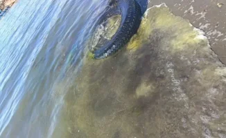 В Каспийском море у пляжа Аташ обнаружены масляные пятна: экологи и местные власти проводят расследование