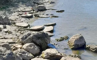 На берегу Урала проведут масштабную очистку от габаритного мусора, что позволит улучшить экологическую обстановку и сделать территорию более привлекательной для отдыхающих.
