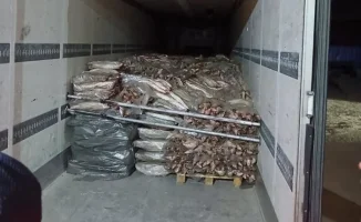 Полиция Атырау задержала крупную партию нелегальной рыбы: подробности операции и задержания
