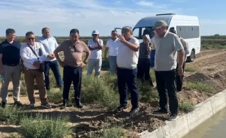 Осетровый завод в Атырау: ускорение или замедление реформ?